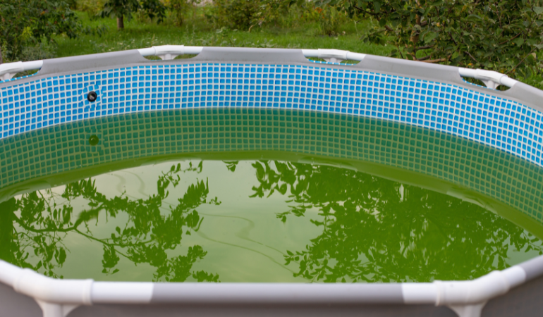 basen ogrodowy z brudną wodą 
