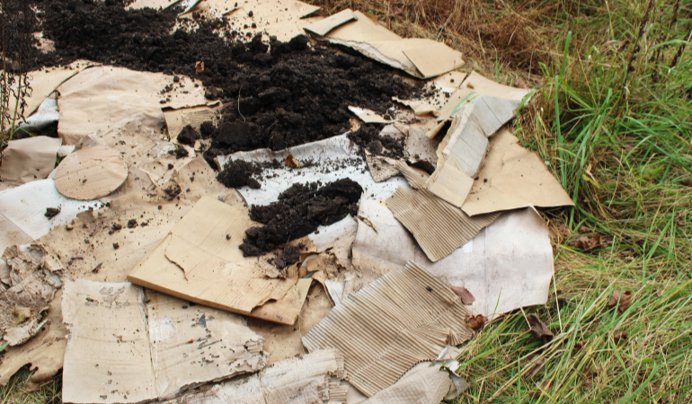 kartony wykorzystane do ściółkowania