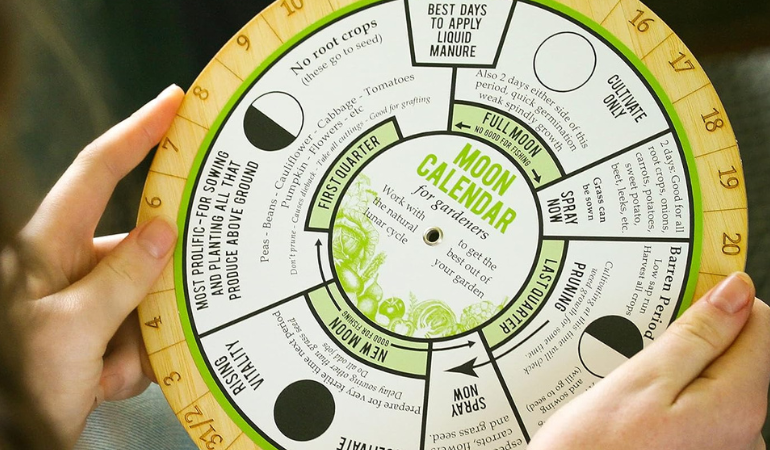 kobieta trzymająca w dłoniach kelandarz biodynamiczny 