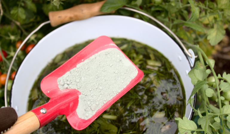 ogrodnik dodający łopatką mączki bazaltowej do gnojówki ze skrzypu i pokrzywy