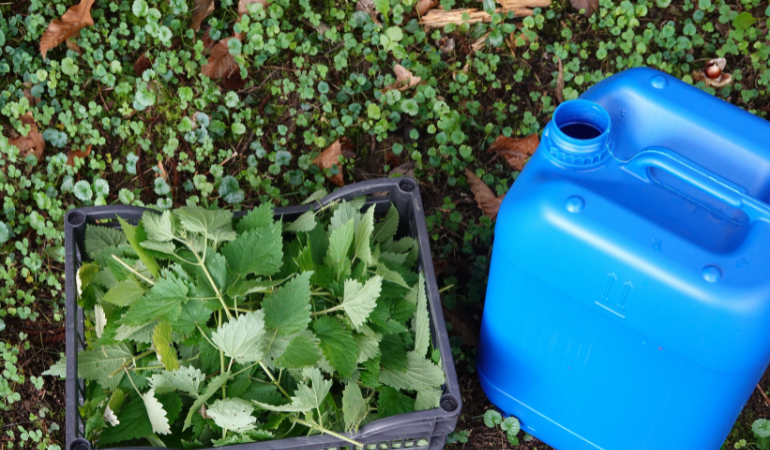 gnojówka ze skrzypu i pokrzywy przechowywanie