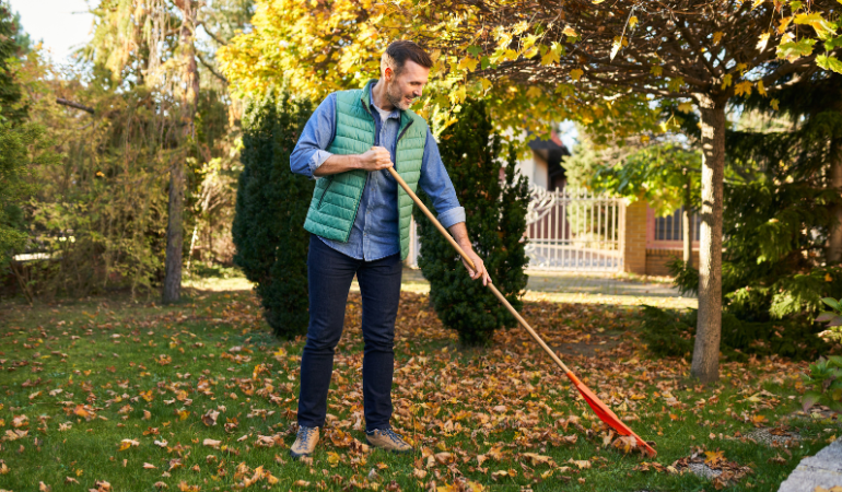 meżczyzna grabiacy jesienią liście z trawy w ogrodzie 