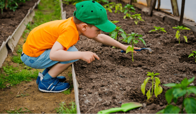 dziecko z malutki grabkami w grządkach 