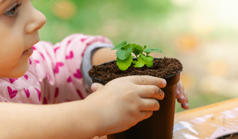 dziewczynka trzyma sadzonki roślin w rączkach 