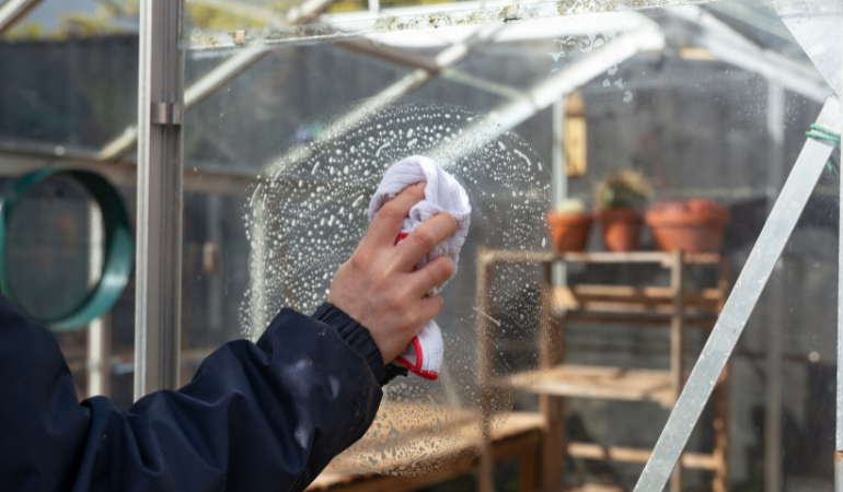 mycie szklarni po sezonie 