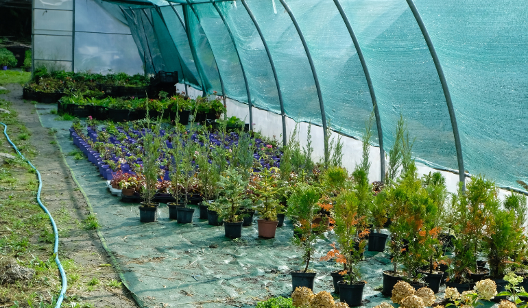 Siatka cieniująca na szklarnię ogrodową 