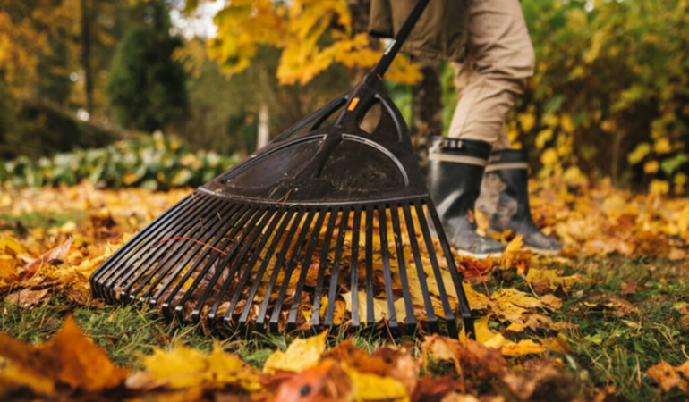 grabie zagrabiające liście 