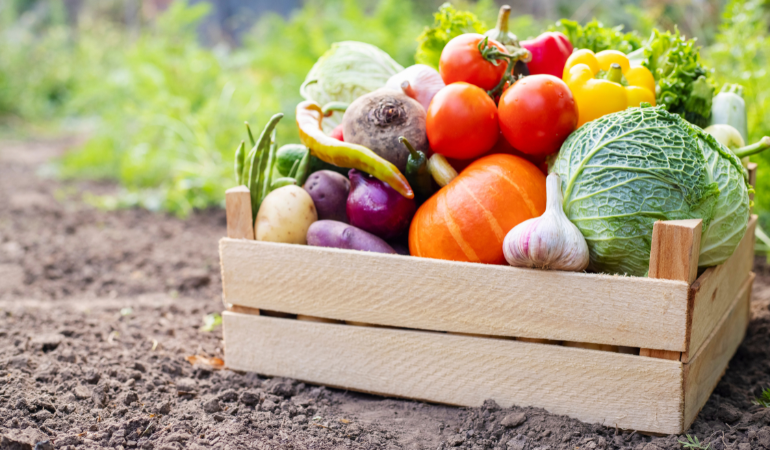 drewniana skrzynia pełna dojarzałych i kolorowych warzyw