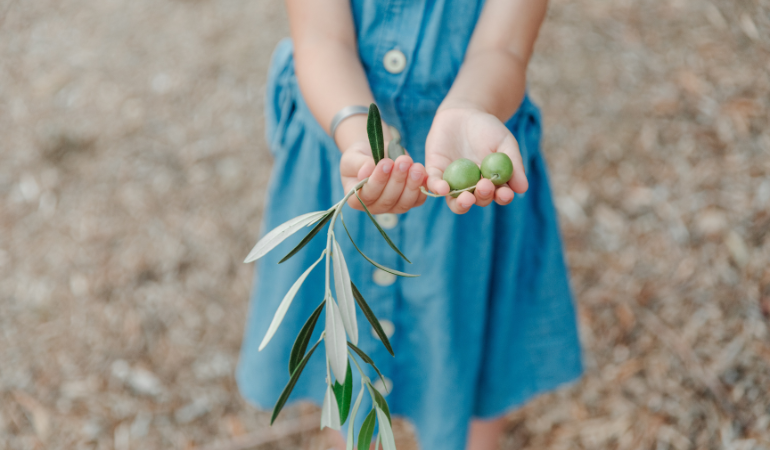 dziewczynka w niebieskiej sukience trzymająca gałązkę drzewa oliwnego z oliwkami 