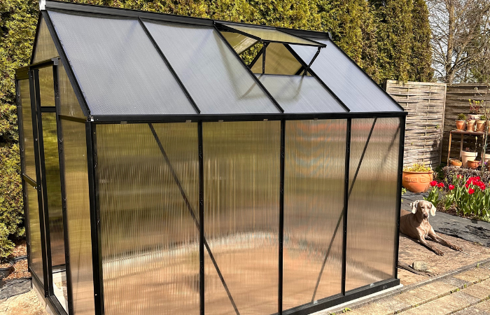 gotowa szklarnia ogrodowa z czarnym stelażem ustawiona na fundamentach w ogrodzie