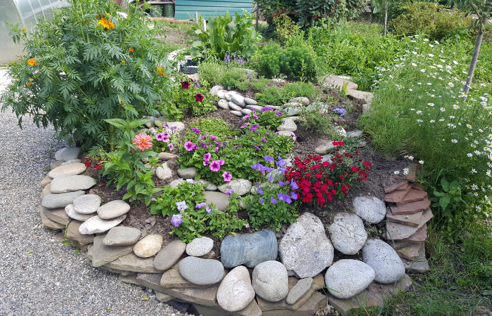 skalniak z roslinami łatwymi do uprawy, petunie na skalniaku 