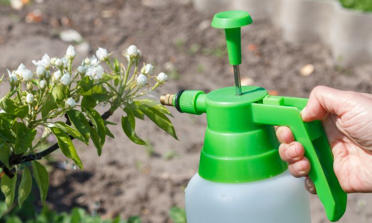 ręczny opryskiwacz do roślin 
