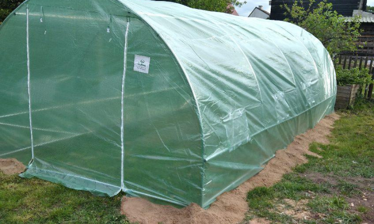 tunel foliowy cultivo prawidłowo złożony 