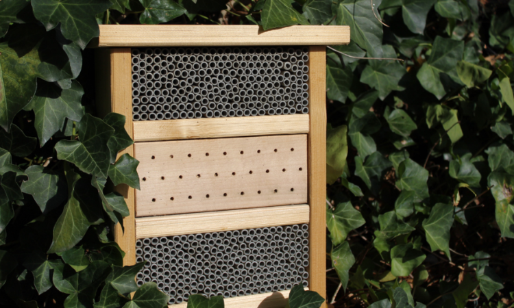 domki dla pszcz&oacute;łek 