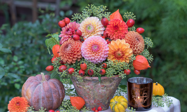 jesienny ogr&oacute;d kwiaty w doniczkach 