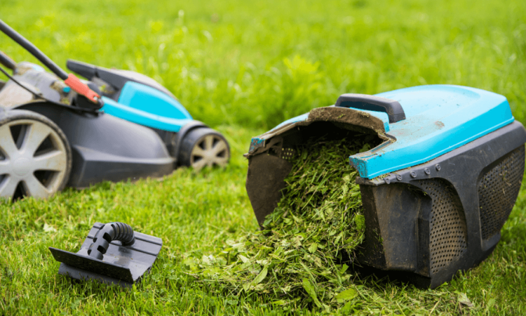 kosiarka z koszem zapełnionym trawą 