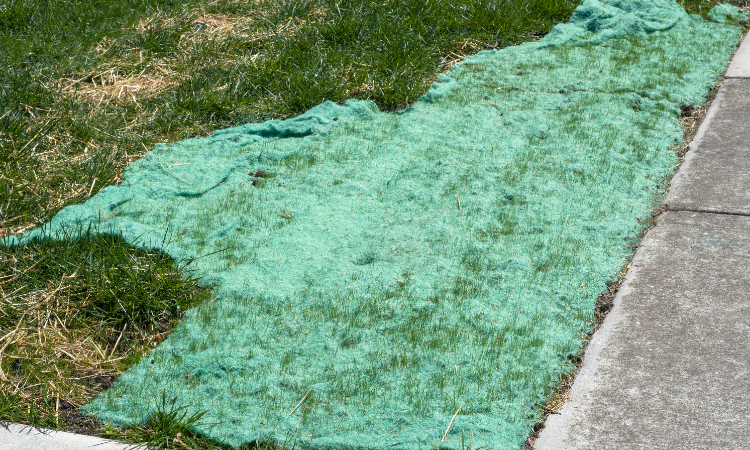 biodegradowalna mata do mulczowania trawy 
