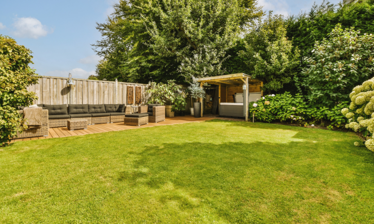 zadbany trawnik w ogrodzie