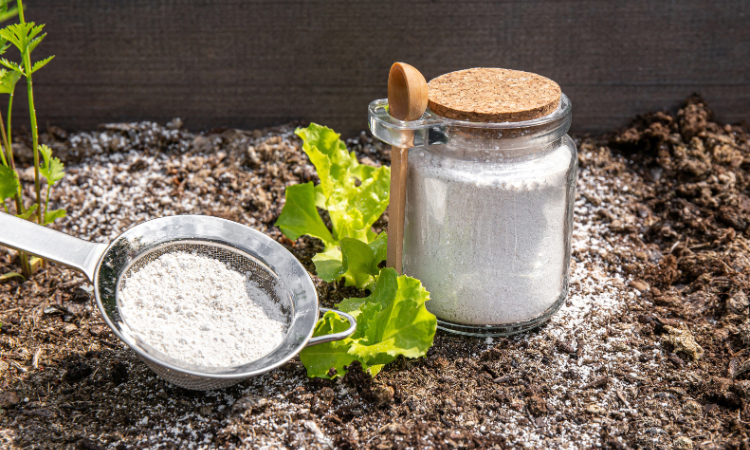 kobieta posypująca mrowisko w ogrodzie proszkiem do pieczenia 