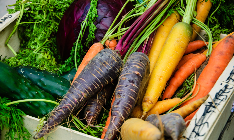 R&oacute;żne kolorowe marchewki, czerwona kapusta i og&oacute;rki w drewnianym pudełku. Świeże produkty organiczne 