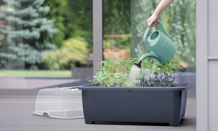 kobieta podlewa konewką rośliny w doniczce