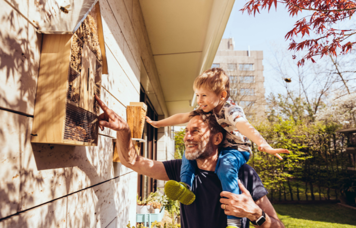tata z synem opiekujący się pszczołami w domowym hotelu 