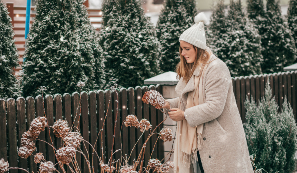Kobieta zajmuje się martwymi roślinami w zimę