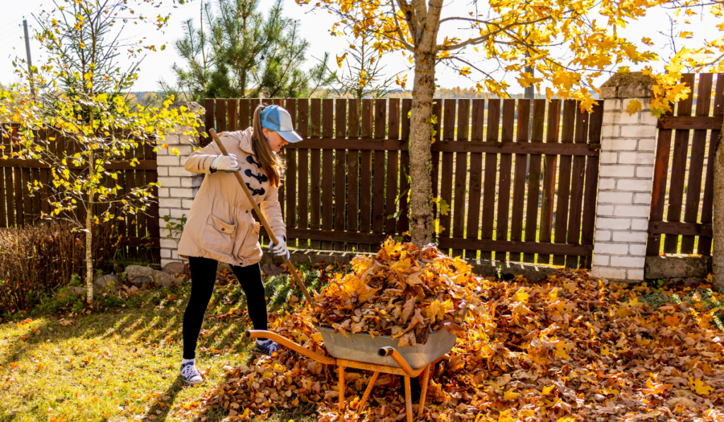 Kobieta grabiąca liście w jesiennym ogrodzie