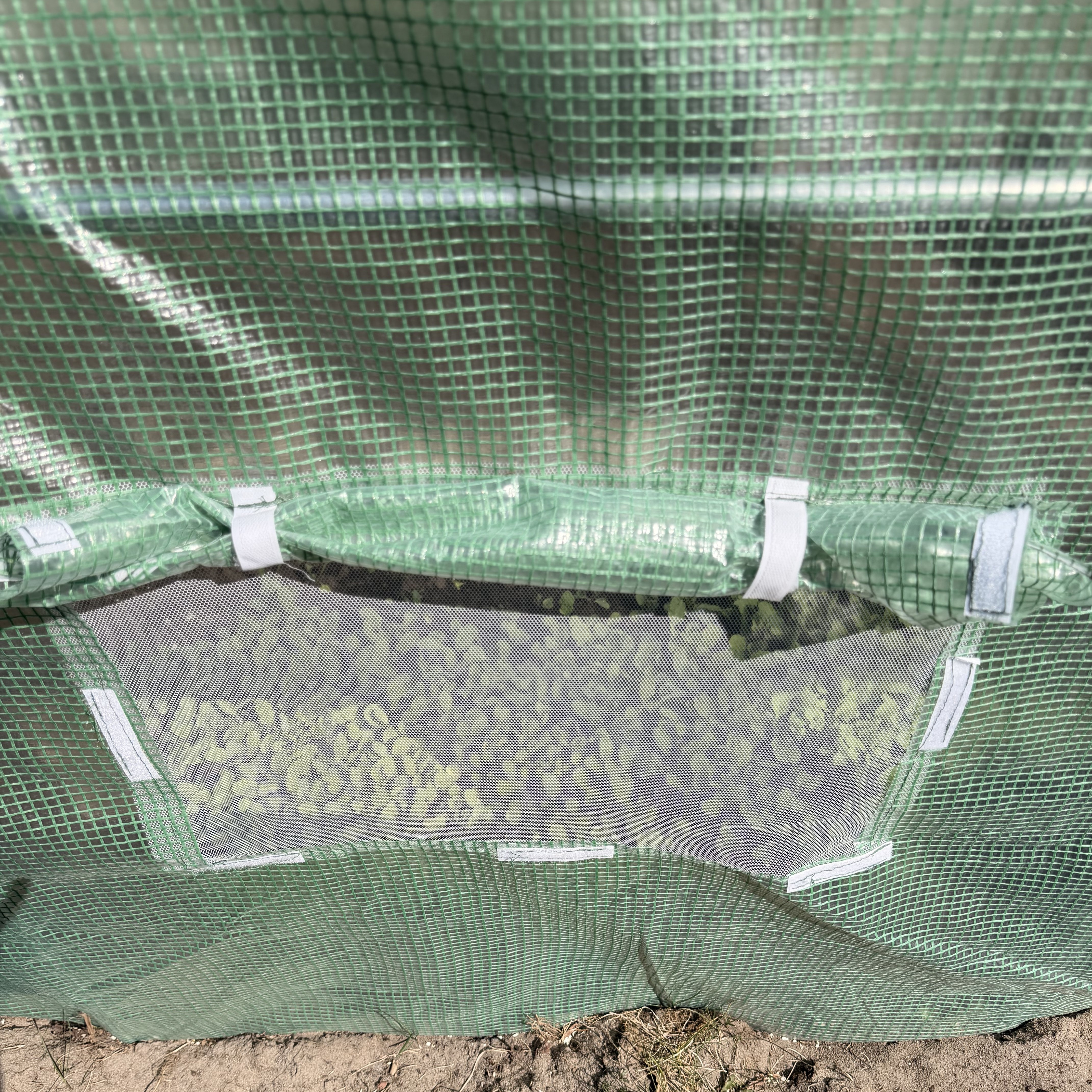 Tunel Foliowy 2x3x2 - 6m2 Zielony Cultivo zdjęcie realizacji 8