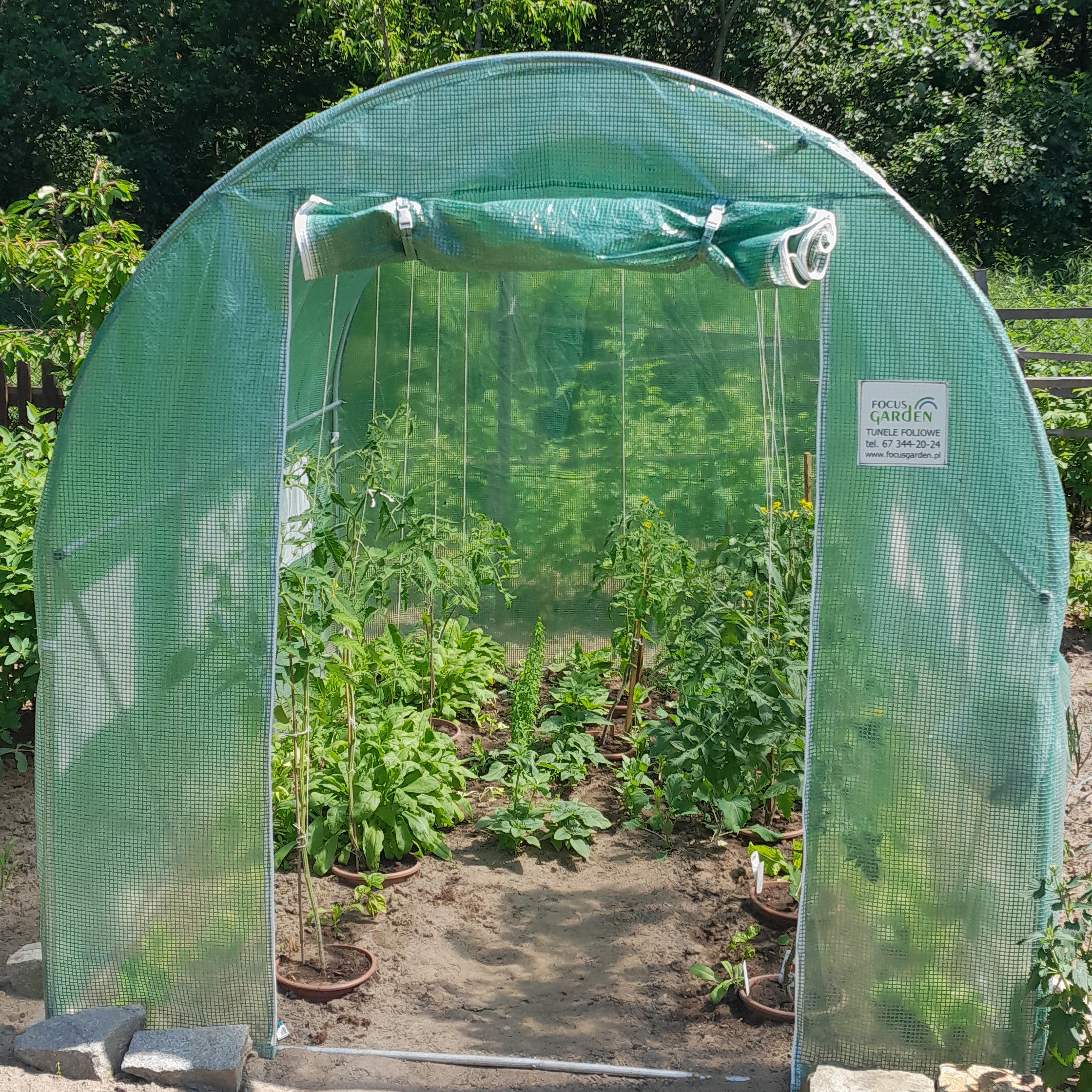 Tunel Foliowy 2x3x2 - 6m2 Zielony Cultivo zdjęcie realizacji 3