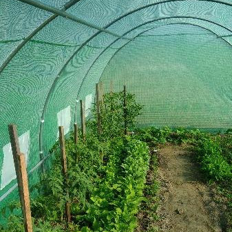 Tunel Foliowy 3x6x2 - 18m2 Zielony zdjęcie realizacji 3