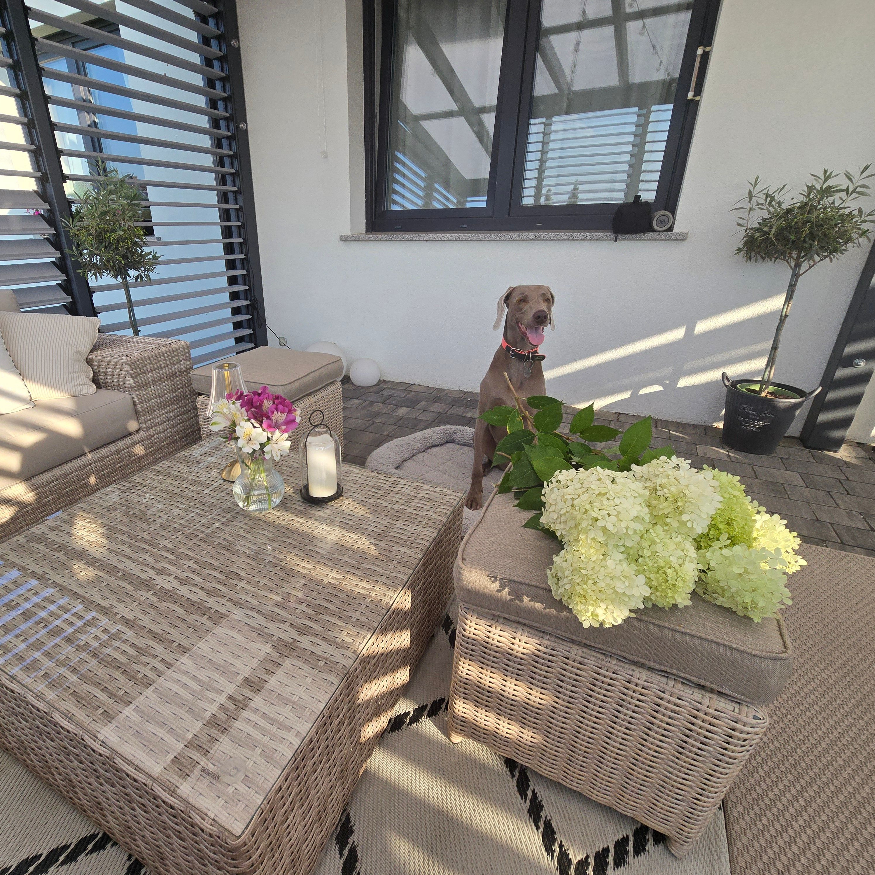 Pufa TRIVENTO Beige zdjęcie realizacji 2