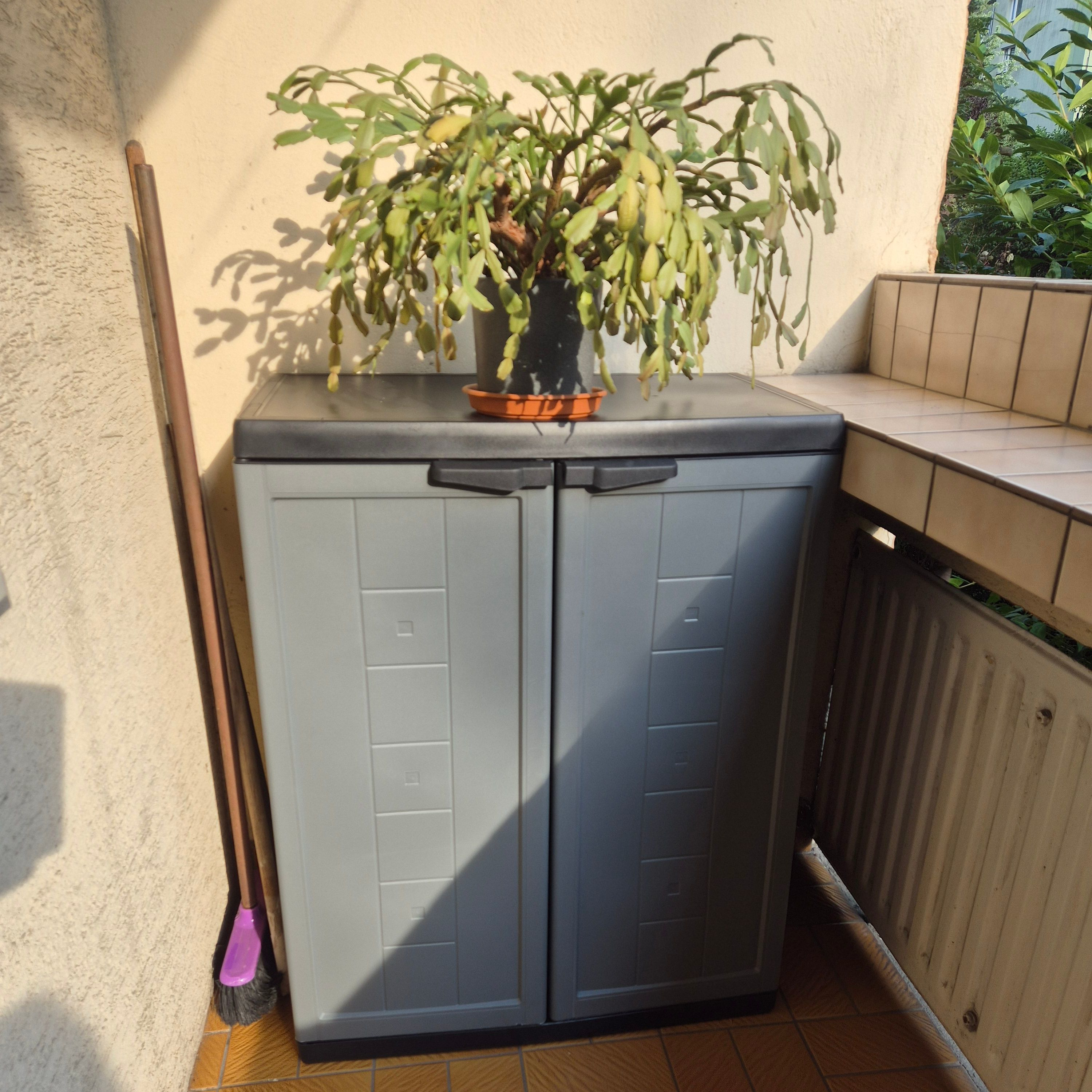 Szafka gospodarcza Keter/Kis JOLLY LOW CABINET Dark Grey zdjęcie realizacji 1
