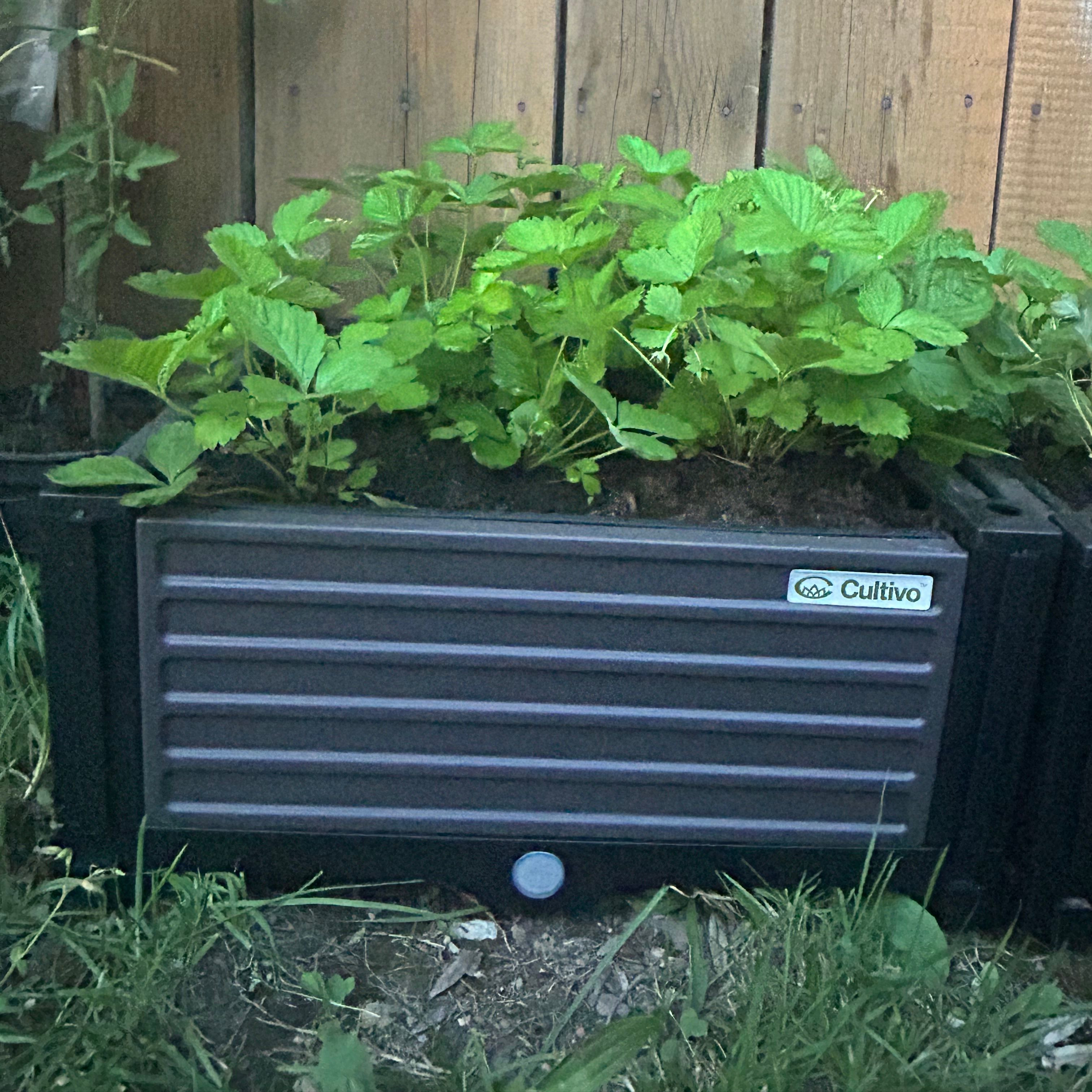 Skrzynia uprawowa GROW CUBE S 41x41x17cm - CULTIVO zdjęcie realizacji 1
