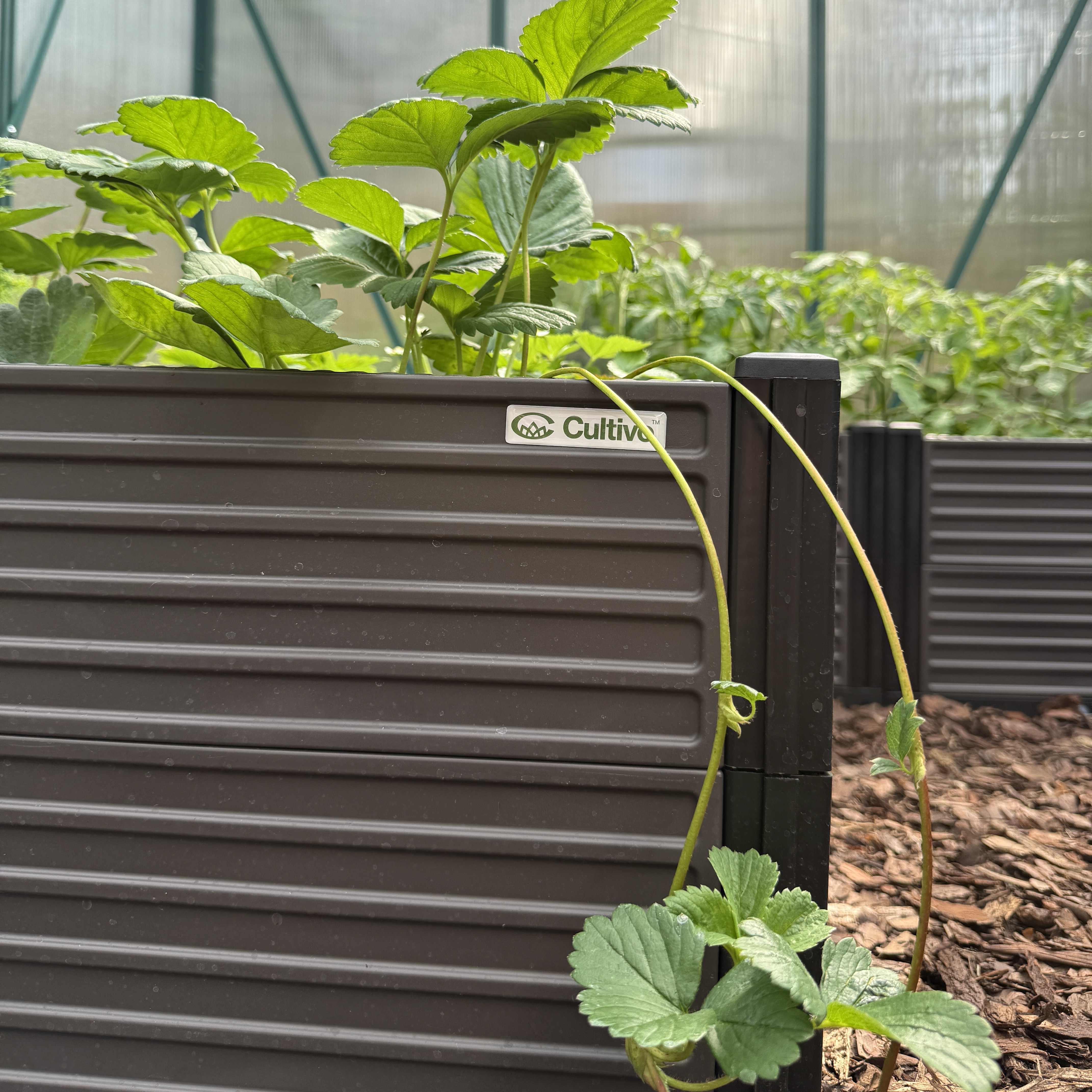 Skrzynia uprawowa GROW BOX XL 164x41x31cm - CULTIVO zdjęcie realizacji 1