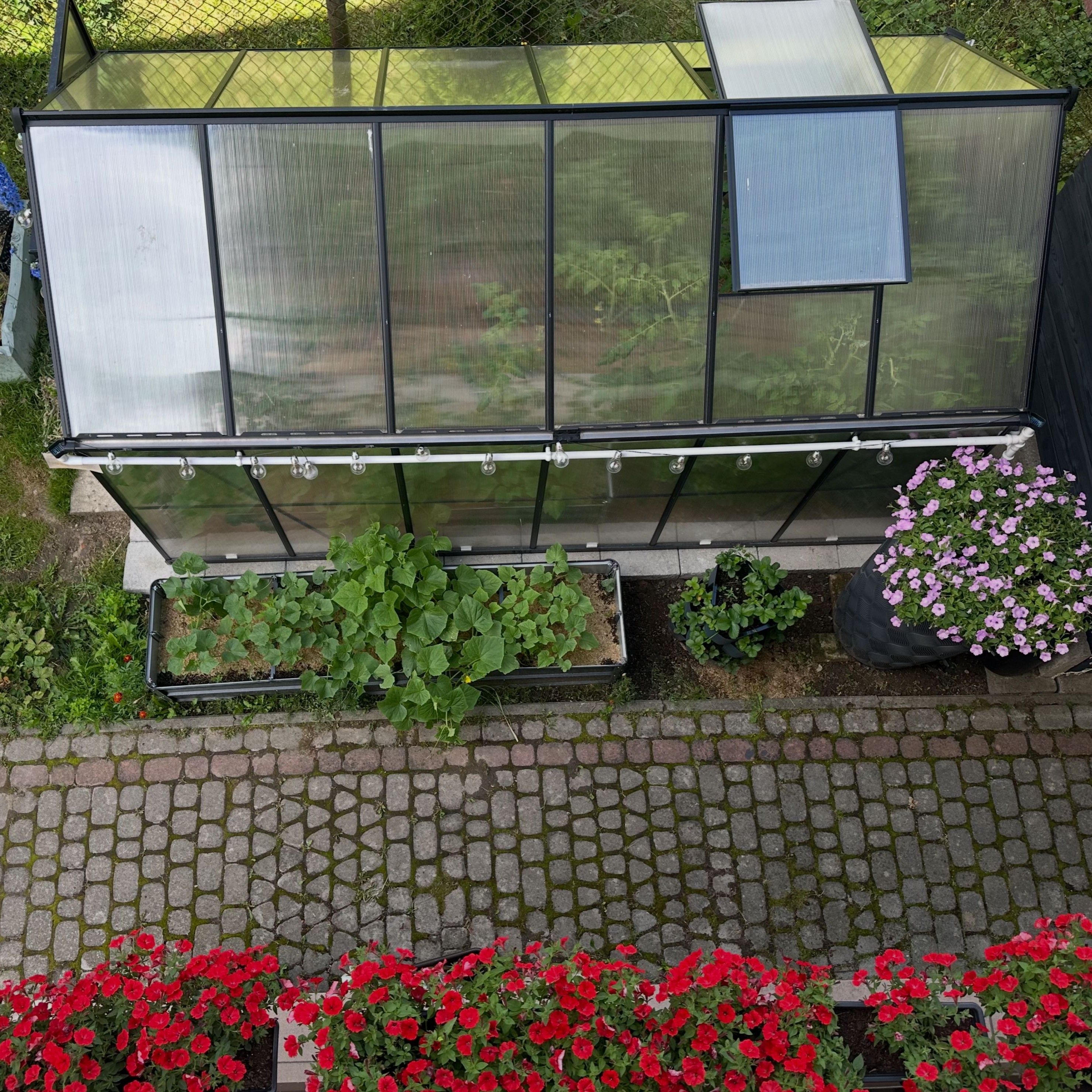 Szklarnia ogrodowa z poliwęglanu Slide-In NEW 183x361cm Black - Cultivo zdjęcie realizacji 10