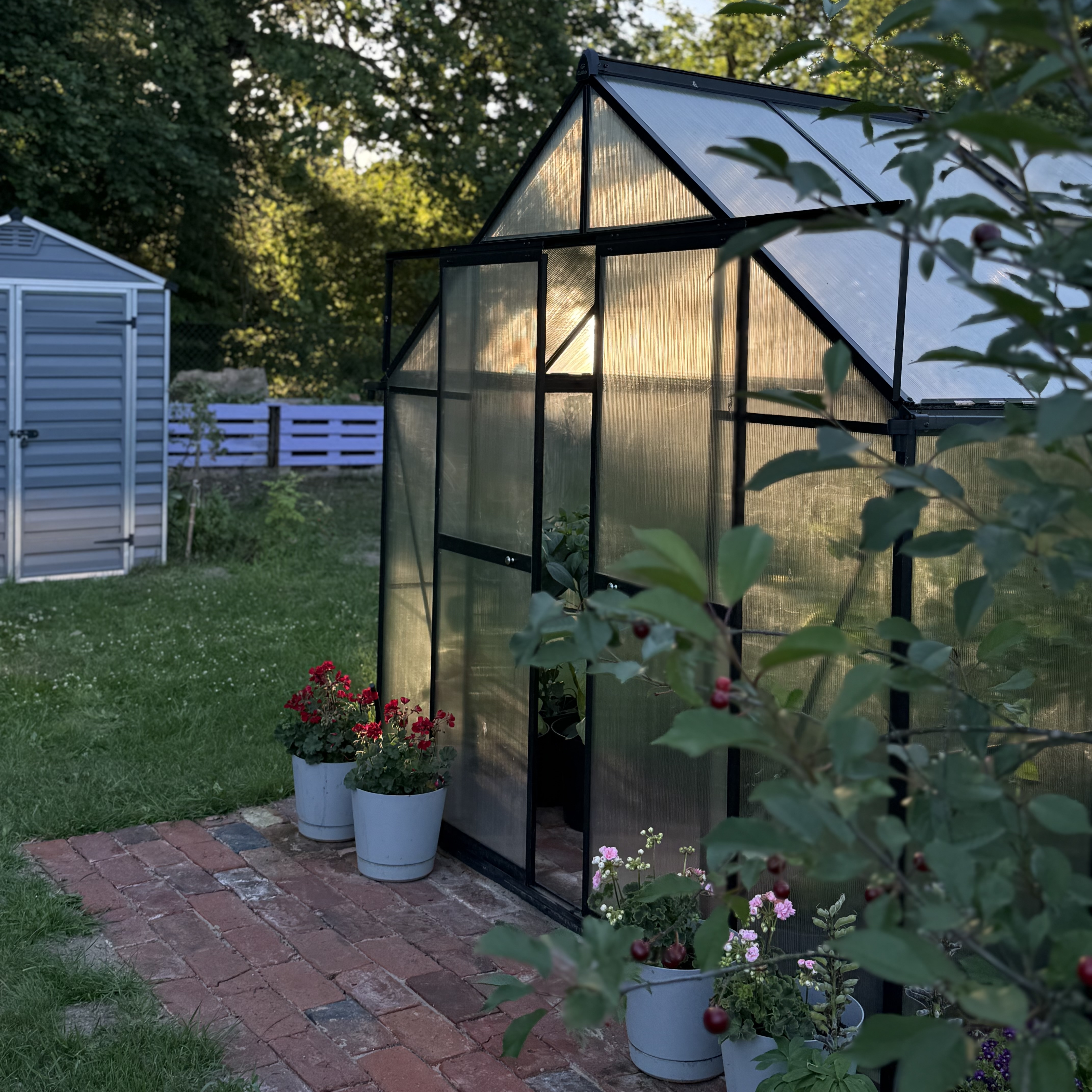 Szklarnia ogrodowa Slide-In NEW 244x490cm Black - Cultivo zdjęcie realizacji 6