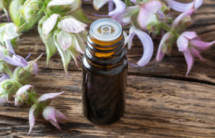 Szalwia wykorzystywana w kuchni i kosmetyce 