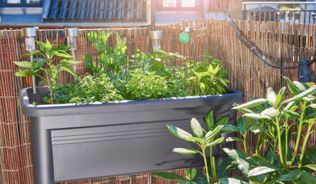 Rośliny w donicy wiszącej na barierce balkonu 