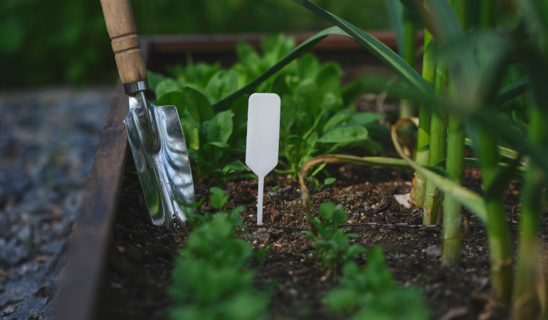 Pielenie roślin w donicy, wbita łopatka w ziemię