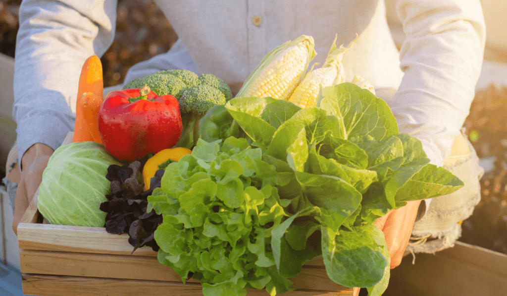 Kobieta trzyma skrzynie z warzywami