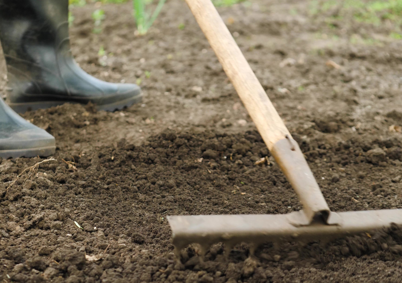Osoba w gumowych butach ogrodniczych wyr&oacute;wnuje ziemię grabiami na grządce