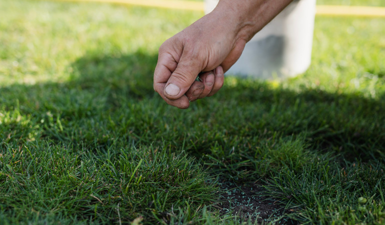 Człowiek dba o trawnik 
