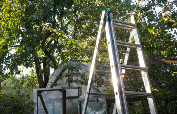 drabina wielofunkcyjna ustawiona w sadzie obok tunelu ogrodowego