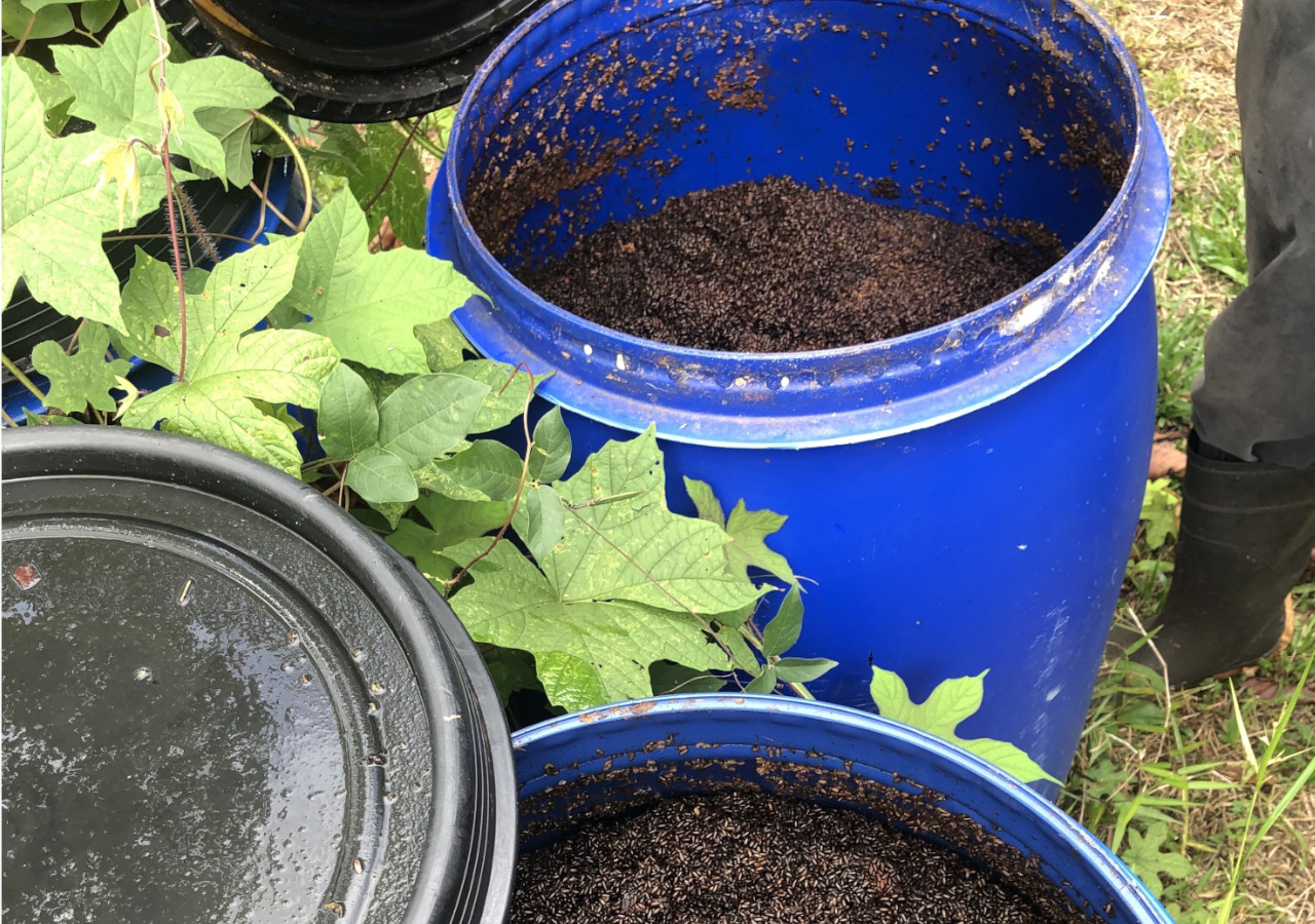 plastikowe beczki z gnoj&oacute;wką