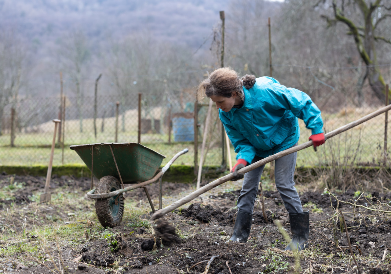 Kobieta w niebieskiej kurtce i kaloszach przekopuje ziemię w ogrodzie za pomocą wideł, obok stoi zielona taczka