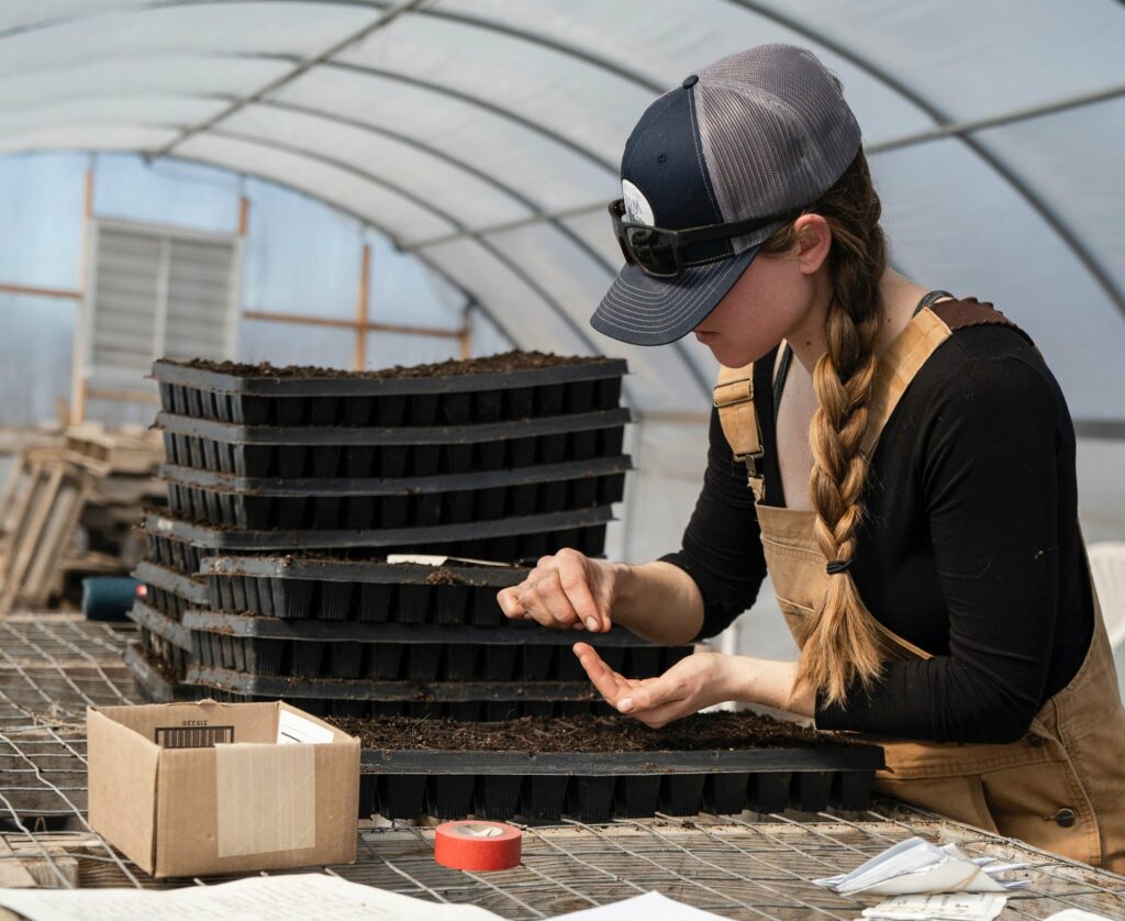 Kobieta wkłada nasiona papryki do rozsiewnika