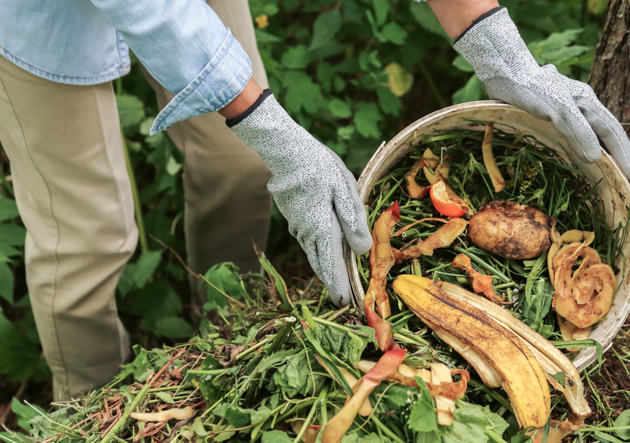 Kobieta wysypuje z koszyka obierki na kompostnik