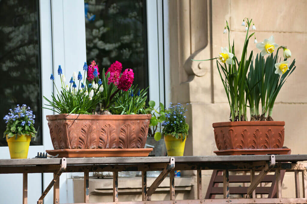 Kwiaty na balkonie posadzone w ceglanych donicach