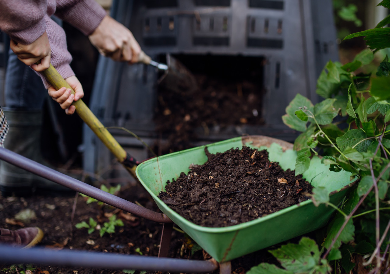 Mężczyzna wkłada gnoj&oacute;wkę z kompostownika do taczi